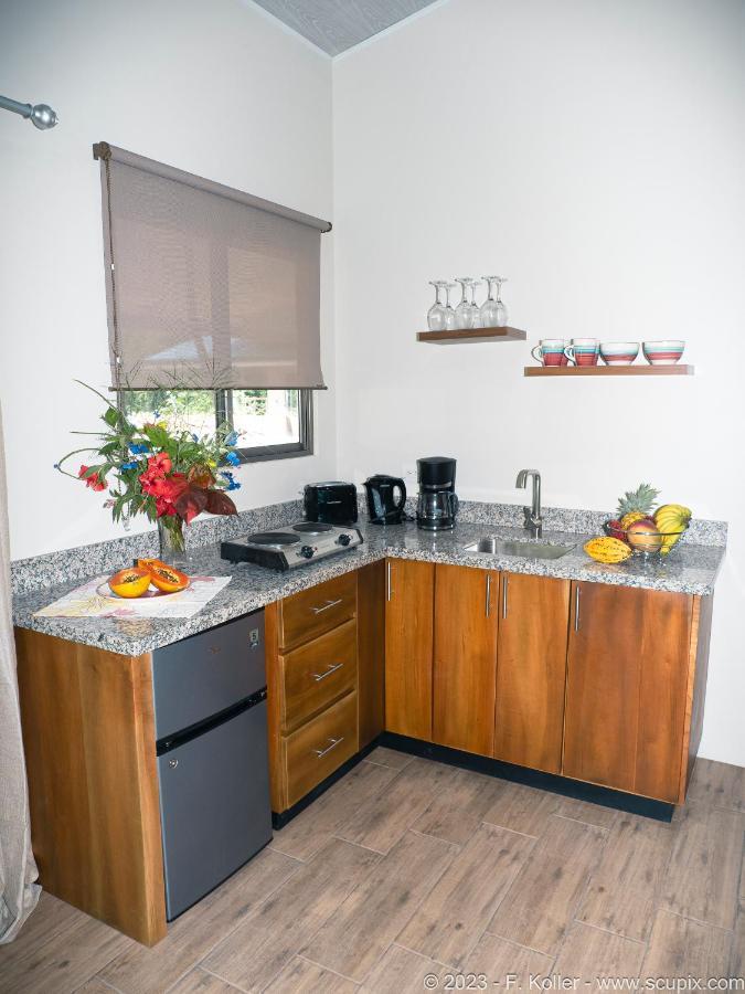 Luxury Apartments Nauyaca By Paradiselodge Platanillo Экстерьер фото