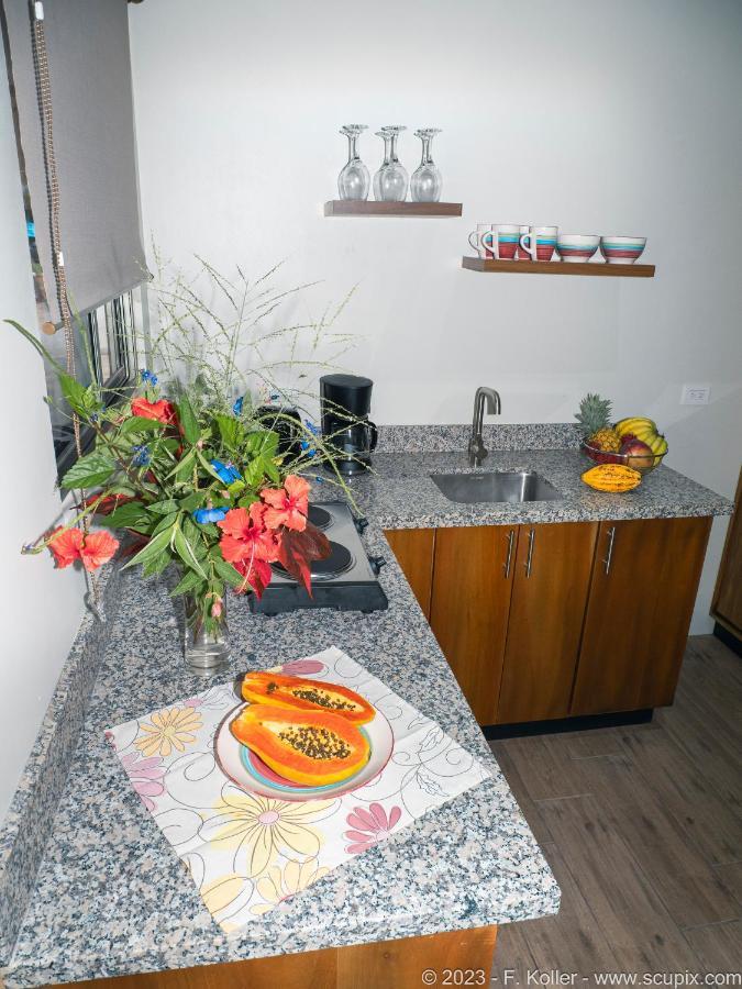 Luxury Apartments Nauyaca By Paradiselodge Platanillo Экстерьер фото